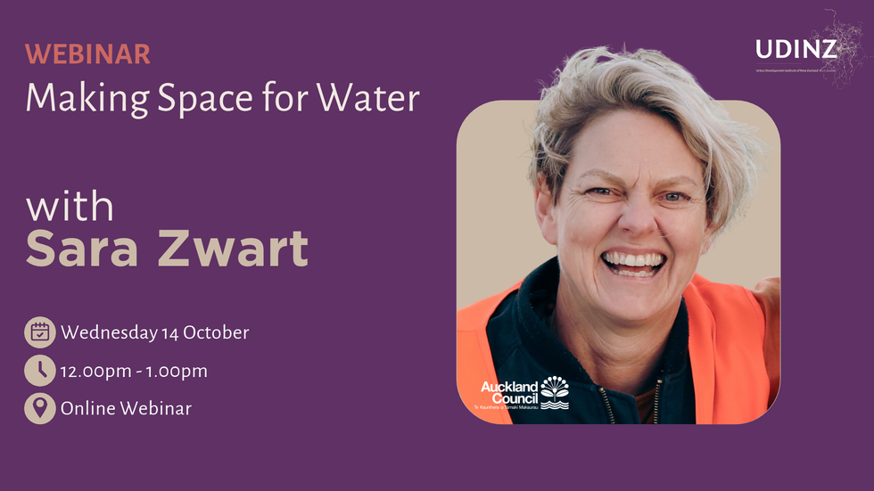 UDINZ Webinar: Making Space for Water hero image